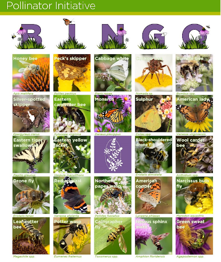 BFEC Bingo flyer.