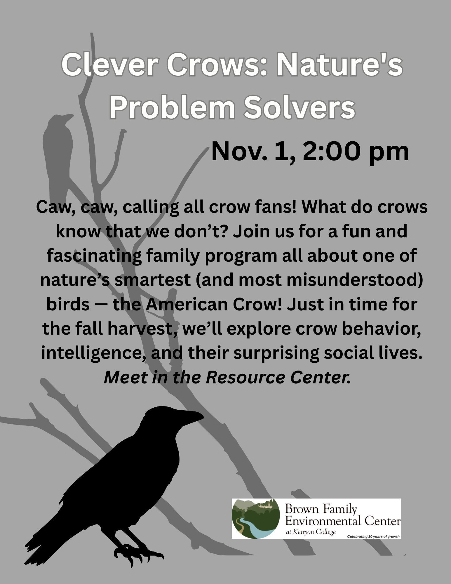 Clever Crows Natures Problem Solvers flyer.