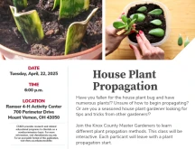 Knox County Master Gardeners House Plant Propagation event flyer.