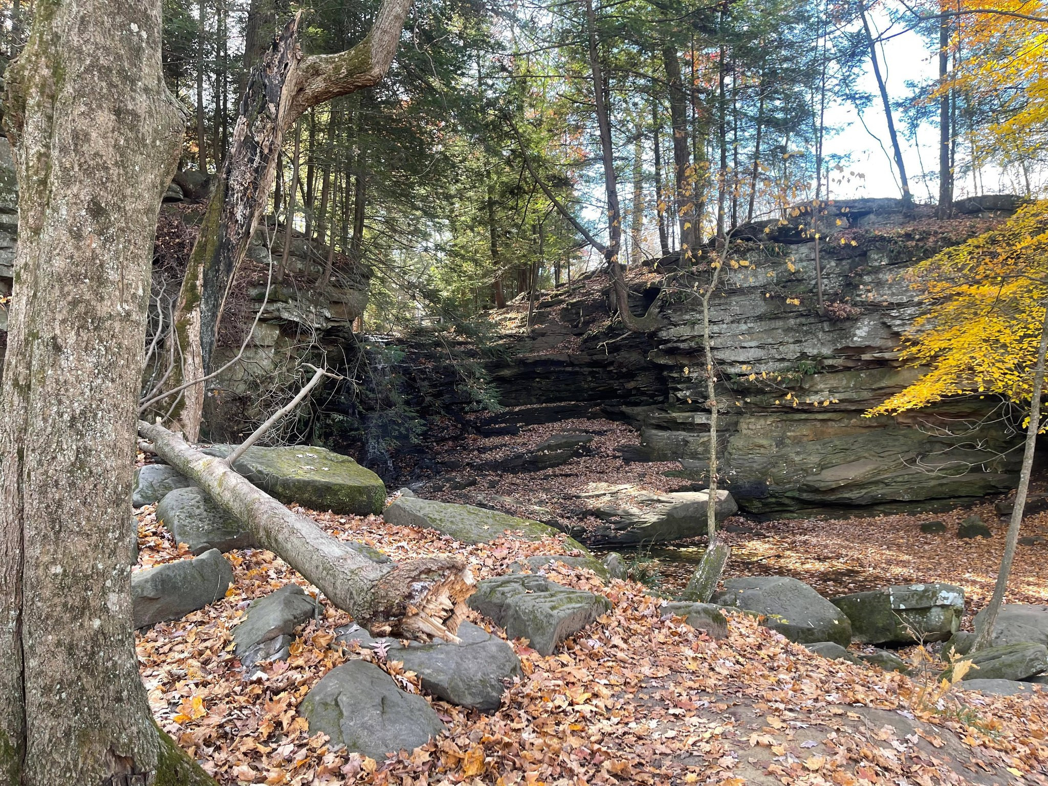 Honey Run Highlands Park