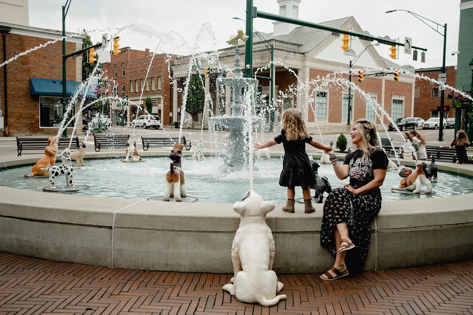 Drinkwell Pet Dog Fountain Outdoor Dog Drinking Fountains Pet