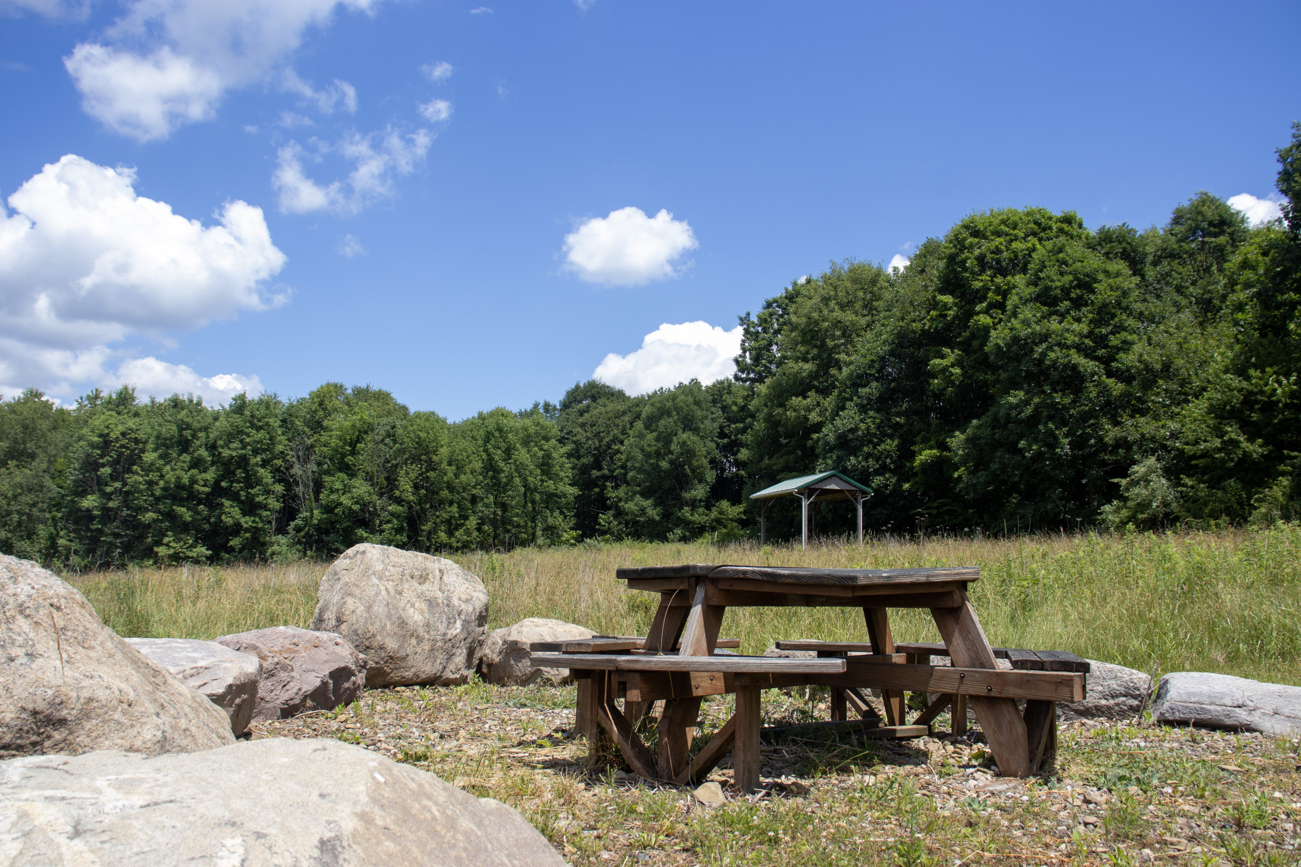 Ramser Arboretum bench and rocks.