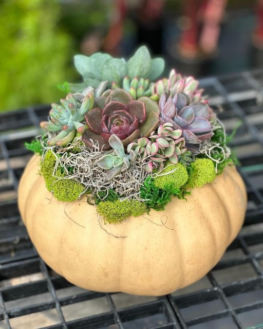 Succulant from Scentlife class.