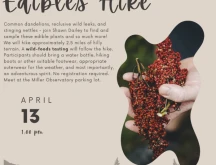Wild Edibles Hike flyer.